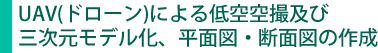 UAV（ドローン）による低空空撮及び三次元モデル化、平面図・断面図の作成